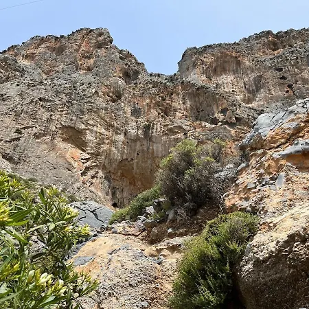Kalymnos, Elies - The Olive Grove